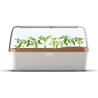 Romberg Gew&auml;chshaus BoQube L Plus Creme Kupfer